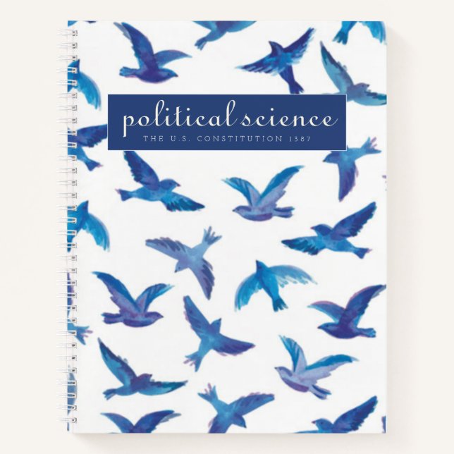 brandes political science notebook (Front)