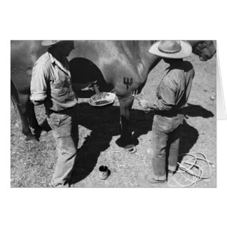 Branding horses with the pitchfork brand