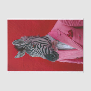 Brandon the Zebra Tissue Paper