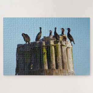 Brandt's Cormorant Jigsaw Puzzle