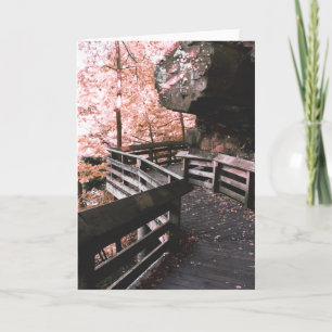 brandywine boardwalk holiday card