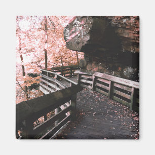 brandywine boardwalk magnet