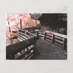 brandywine boardwalk postcard