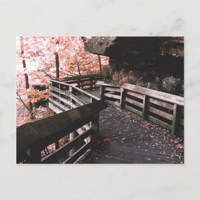 brandywine boardwalk postcard (Front)