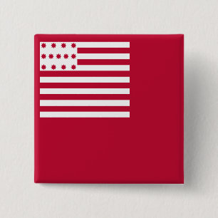 Brandywine flag 15 cm square badge