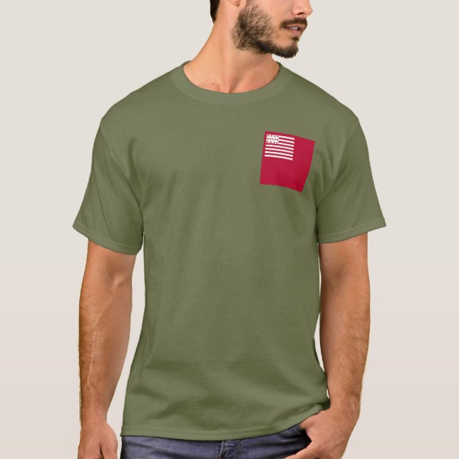 Brandywine flag T-Shirt (Front)