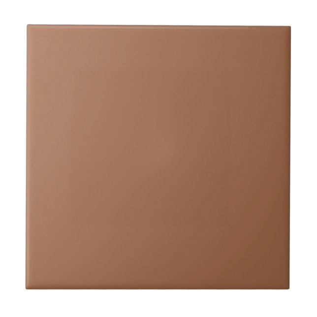 Brandywine Potato Orange Square Kitchen and Bath Ceramic Tile (Front)