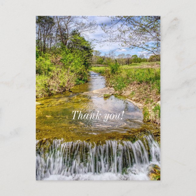 Branson Fall Creek Stream Thank you Postcard (Front)