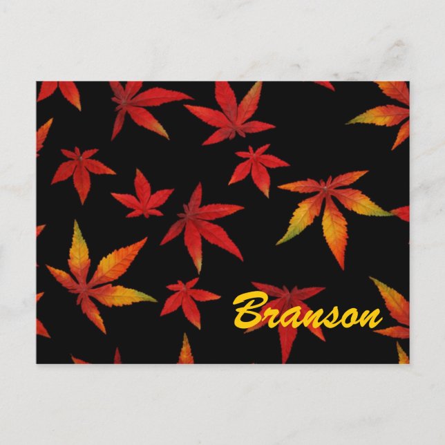 Branson Missouri Autumn Leaves Postcard (Front)