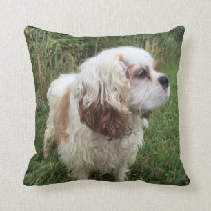 Branson Pillow