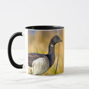 Brant Goose  Mug