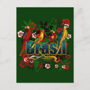 Brasil Brazil Tropical floral rainforest birds art Postcard