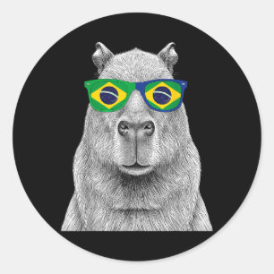 Brasil Flag Brazilian Pride Brasilian Roots Brazil Classic Round Sticker