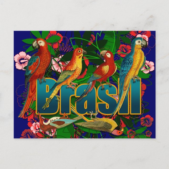 Brasil floral tropical Birds Postcard (Front)