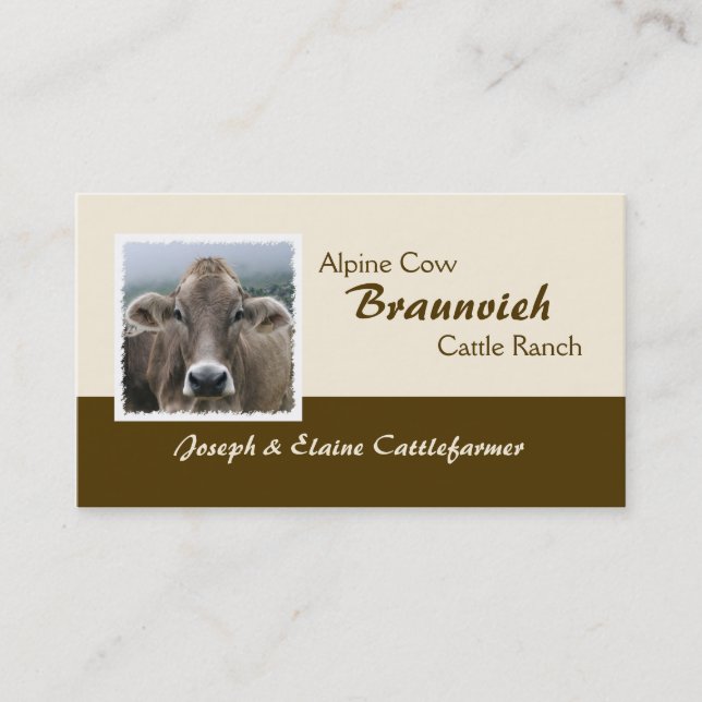 Braunvieh alpine dairy cow business card (Front)