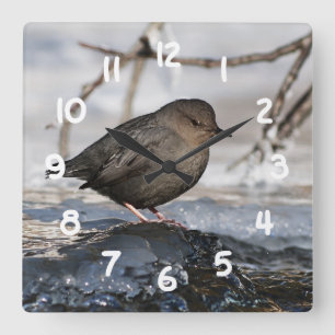 Brave American Dipper Square Wall Clock