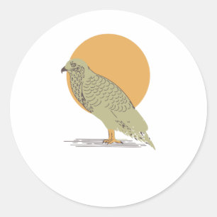 Brave Buzzard Classic Round Sticker