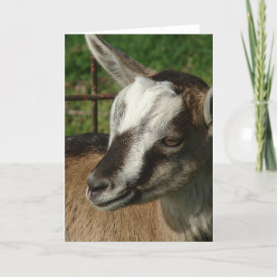 Braveheart the Goat Card