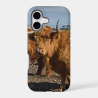 Brawny Beauty: The Majestic Big Brown Highland Cow