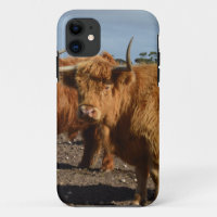 Brawny Beauty: The Majestic Big Brown Highland Cow