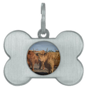Brawny Beauty: The Majestic Big Brown Highland Cow Pet Tag