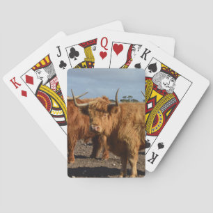 Brawny Beauty: The Majestic Big Brown Highland Cow Playing Cards