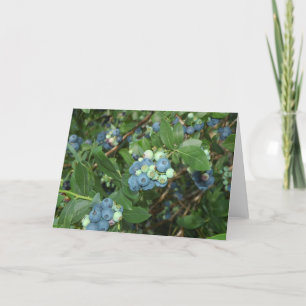 Brays Blueberries Greene County Indiana Card