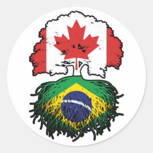 Brazil Brazilian Canadian Canada Tree Roots Flag Classic Round Sticker