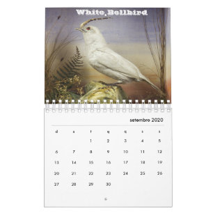 Brazil Calendar