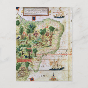 Brazil from the 'Miller Atlas' Postcard