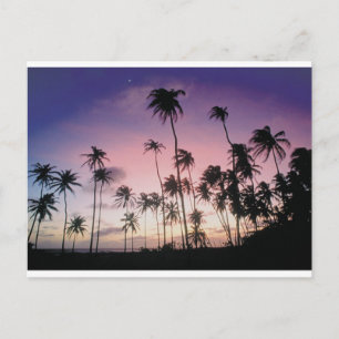 Brazil Postcard