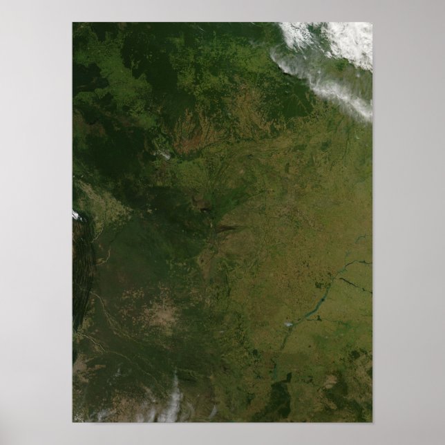 Brazil Poster (Front)