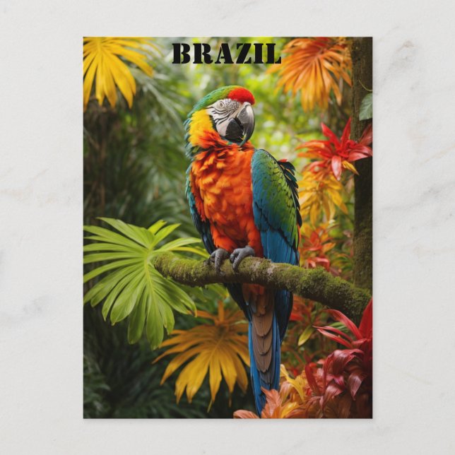 Brazil Rainforest Colourful Macaw Bird Travel Postcard (Front)
