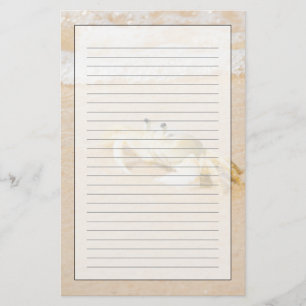 Brazil, Rio de Janeiro, Buzios, Crab on Stationery