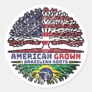 Brazilian Brazil US American USA United States Classic Round Sticker
