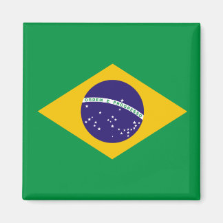 Brazilian flag magnet