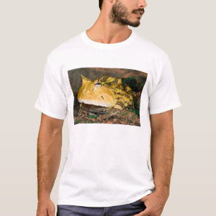 Brazilian Horn Frog, Ceratophrys cornuta, 3 T-Shirt