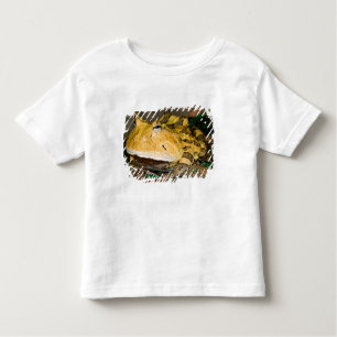 Brazilian Horn Frog, Ceratophrys cornuta, 3 Toddler T-Shirt
