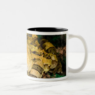 Brazilian Horn Frog, Ceratophrys cornuta, 3 Two-Tone Coffee Mug