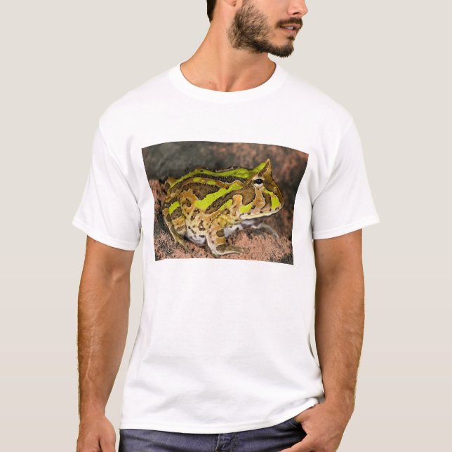 Brazilian Horn Frog, Ceratophrys cornuta, Native T-Shirt (Front)
