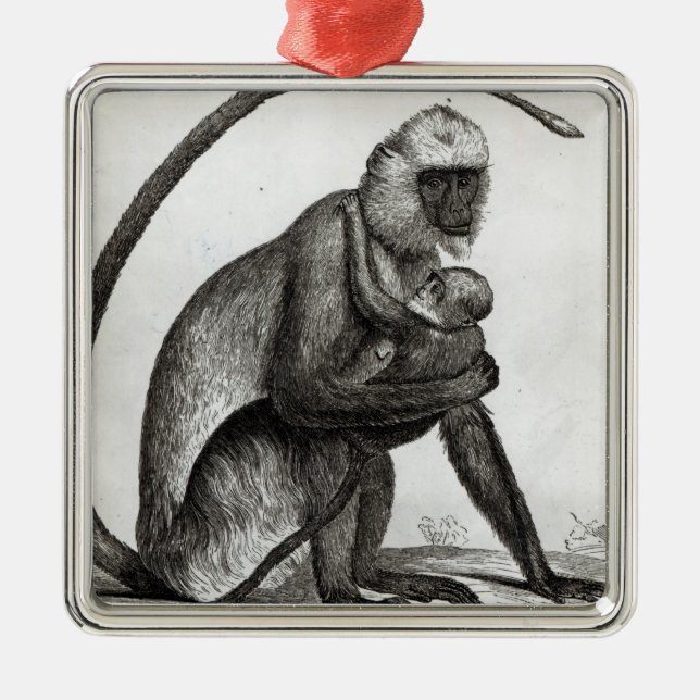 Brazilian Monkey Metal Tree Decoration (Front)