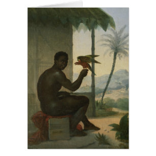 Brazilian negro with Tropical Bird