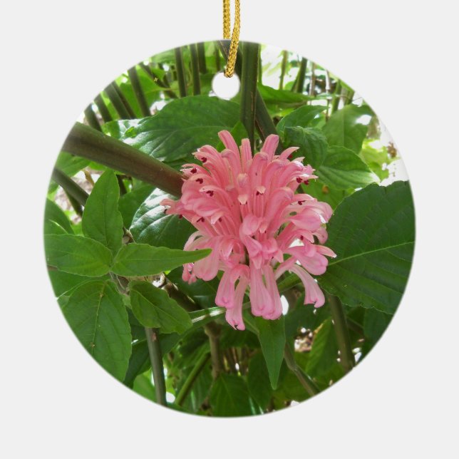 Brazilian plume flower ceramic ornament (Front)