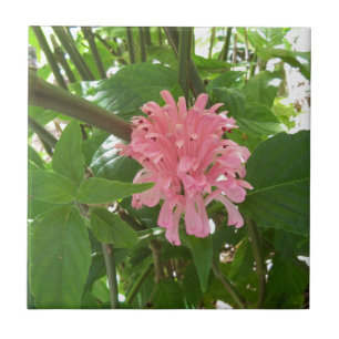 Brazilian plume flower ceramic tile
