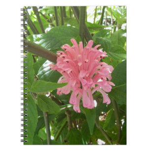 Brazilian plume flower notebook