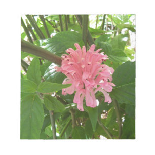 Brazilian plume flower notepad