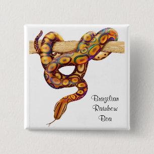 Brazilian Rainbow Boa Pin