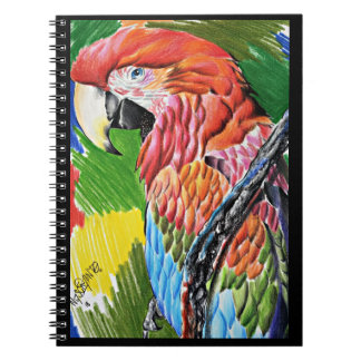 Brazilian Scarlat Macaw - Hand Drawn Wildlife Art Notebook