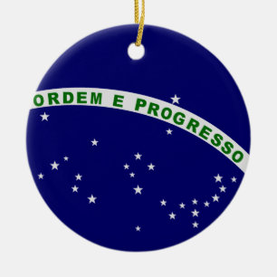 Brazilian Seal Ceramic Ornament