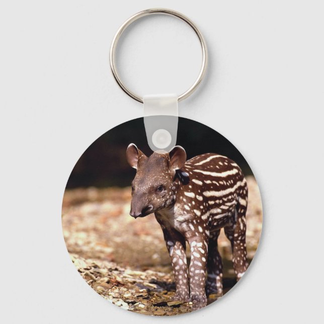 Brazilian Tapir, young calf beside river Key Ring (Front)